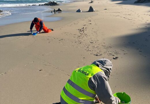 Catro entidades ecoloxistas participarán esta fin de semana nunha limpeza de todo o litoral coordinada co Concello