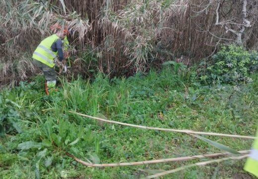 A Xunta executa actuacións de conservación e limpeza nos treitos interurbanos de dous ríos non concellos da Pobra do Caramiñal e de Ribeira