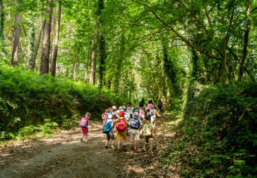 O Concello contrata programas de educación medio ambiental e de ocio para nenos e mozos