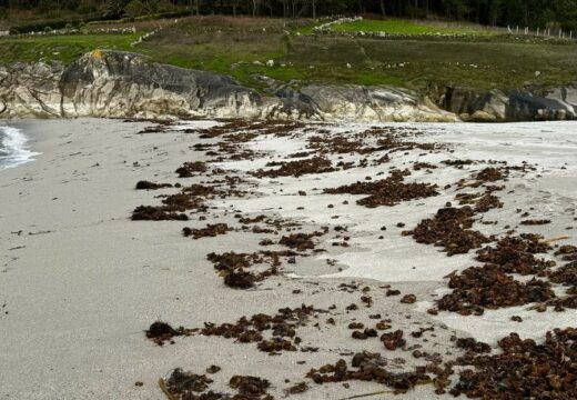 O Concello de Ponteceso activa o Plan Local de Continxencias por contaminación mariña accidental