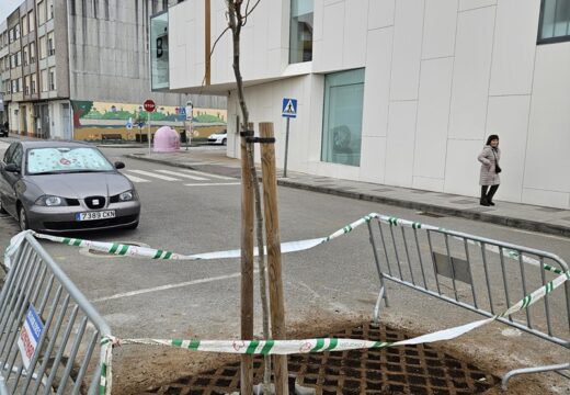 A plantación de 29 árbores permitirá crear novas zonas de sombra na contorna do Rego da Balsa