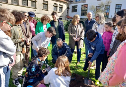 O Concello pon en marcha un contador de árbores xeorreferenciadas neste Día internacional dos bosques e da poesía