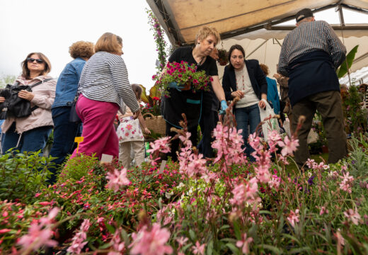 San Sadurniño desvela o programa completo da XXVII Feira da Plantación