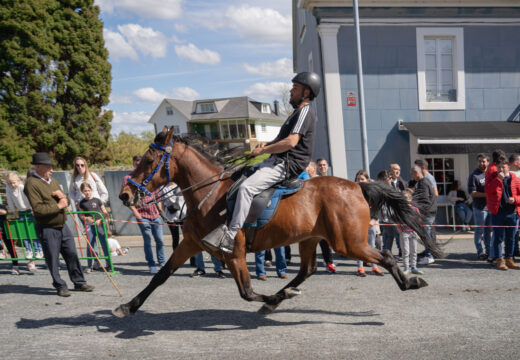 Máis dun milleiro de persoas celebran en Cerdido a XXX Feira do Cabalo da Barqueira