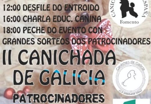 Máis de 100 caniches de todo o Estado daranse cita este sábado en Fene na II Canichada de Galicia