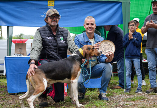 ‘Dandy’, o anglo-francés de Dinito Carballo, convértese no mellor exemplar da XXV Mostra de Cans de Caza de Abegondo