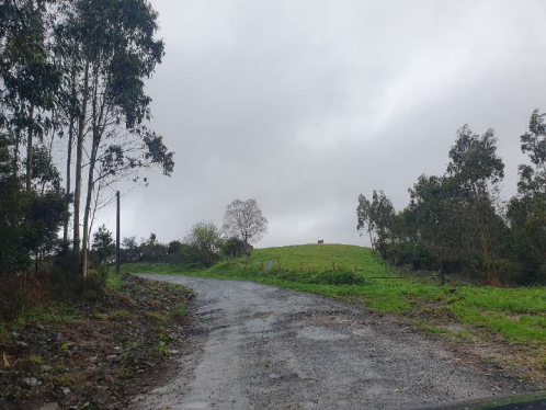 O Concello licita por 113.800 euros a renovación do camiño de Salgueirón ao Burgo