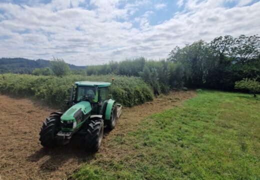 O Concello pecha os trámites legais e executa a roza dunha finca privada en San Pantaleón para rematar cun problema histórico