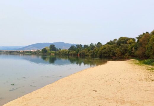 Neda organiza o 5 de outubro unha recollida de basuraleza dentro da campaña nacional “1m2 polas praias e mares”