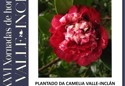 A ofrenda cívica e o plantado da camelia, punto final das XXVI Xornadas de Homenaxe a Valle-Inclán na Pobra