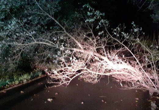 Retirada de árbore en estrada no Xestal, parroquia de Montemaior, no concello de Laracha