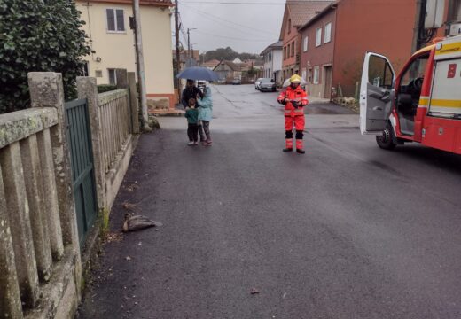 Os bombeiros de Boiro rescatan un corvo mariño ferido en o Burato, no Concello de Rianxo