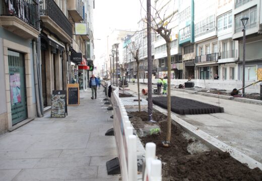 Comeza a plantación das moreiras de Valdeorras en San Andrés, onde avanzan as obras de reurbanización