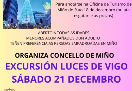 O Concello organiza unha excursión para gozar das luces de Nadal de Vigo