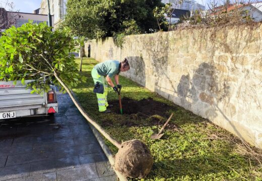 A brigada de Xardíns do Concello de Ribeira embelece espazos urbanos