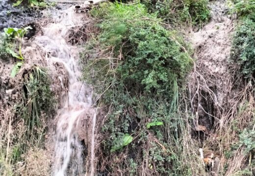 Grave atentado medioambiental en Arteixo