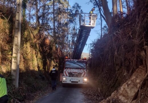 Retirada de árbores por risco de caída en Ferrería, no concello de Rianxo