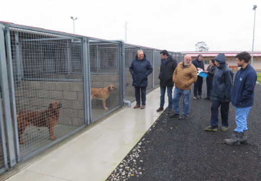 O alcalde visita o centro de protección animal de Servigal en Abegondo