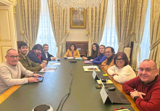 Luz verde á creación da comisión que determine a xestión dos aparcamentos das prazas de Galicia e de Vigo