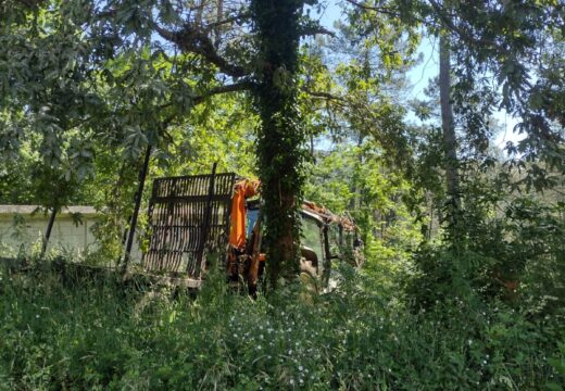 Falece un operario mentres traballaba no monte en Villardigo, no concello de Outes, tras caerlle unha árbore encima