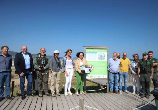 Belén do Campo participa na solta de oito exemplares de polos de píllara nas dunas de baldaio criados co obxectivo da recuperación desta especie