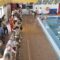 Un total de 1.700 persoas participaron este curso no programa municipal de actividades físico-deportivas