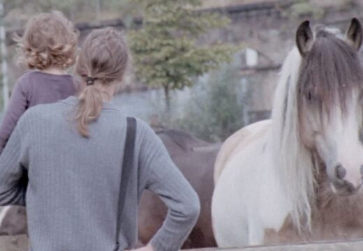 A Filmoteca de Galicia recibe en xuño os Festivais (S8), Diversimacine e a programación estendida do Play-Doc