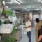 La despensa D`Lujo recibe o Selo Galicia Calidade pola súa agricultura rexenerativa coa que produce legumes e produtos da horta
