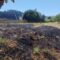 Incendio en zona axardinada no concello de Arteixo