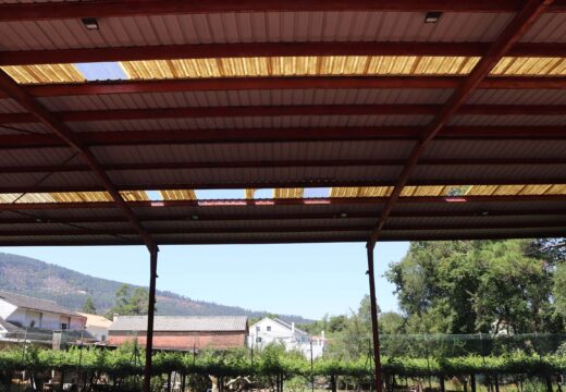 As obras de rehabilitación da pista polideportiva do Sanguiñal comezarán antes de finais de mes