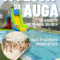 Carral celebra este sábado a VI Festa da Auga