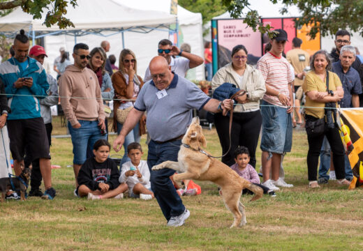 O Club Raza Can de Palleiro abre as inscricións para o concurso morfolóxico que se desenvolverá na Feira Rural de San Sadurniño