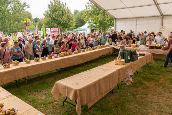O Concello de San Sadurniño abre o prazo de inscrición na XVI Feira Rural