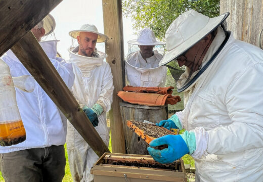 O Concello de San Sadurniño e a Casa do Mel de Goente ofrecerán en setembro a segunda parte do curso de iniciación á apicultura, centrada na diversificación dos aproveitamentos das colmeas