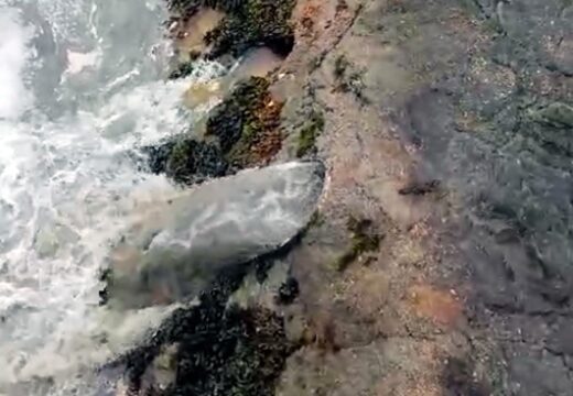 Dez anos de contaminación nas praias urbanas de Sada: unha constante baixo o mandato do Sr. Portela