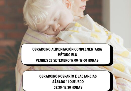 Obradoiros servizos sociais