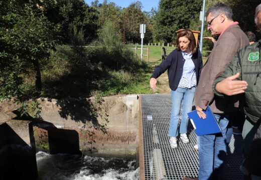 A Xunta salienta que o contador automático de peixes instalado no Ulla xa está subministrando datos clave para a conservación das poboacións migardoras do río
