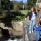 A Xunta salienta que o contador automático de peixes instalado no Ulla xa está subministrando datos clave para a conservación das poboacións migardoras do río