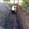 Unha nova obra na Canceira Municipal axiliza as posibilidades de conseguir un núcleo zoolóxico