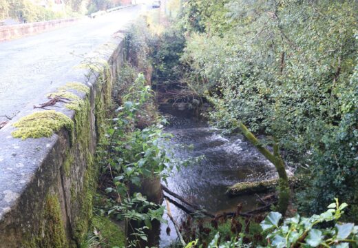 Unanimidade do Pleno de Frades para volver instar ao Goberno a arranxar a N-634 en Ponte Carreira e nas vías de servizo, os accesos á Central de Frades e a ponte vella sobre o Tambre