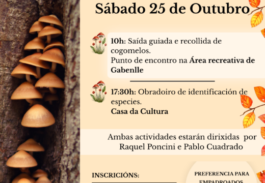 A riqueza micolóxica da Laracha volverase poñer de manifesto na 12ª edición da Xornada As Setas da Laracha