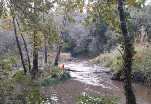 A Xunta realiza labores de conservación fluvial en máis de 9,7 quilómetros no río Mero, no concellod e Cambre