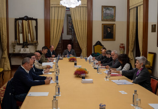 A Comisión Permanente do Consello Municipal da Cultura acorda a creación de dous novos grupos sectoriais: Artes Vivas e Patrimonio Cultural