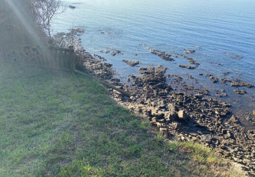 O Partido Popular de Oleiros alerta do perigo dos novos derrubes no parque das Trece Rosas