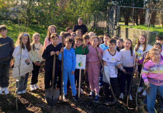 A Asociación de Concellos do Camiño da Ría de Muros Noia pon en marcha un proxecto para plantar maceiras nas beiras desta ruta xacobea