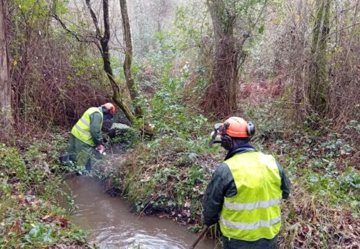 A Xunta realiza laboras de conservación fluvial en máis de 7 quilómetros nos ríos Mandeo, Mendo e Xerpe, nos concellos de Betanzos e Paderne