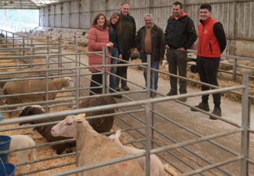 A Xunta anima a solicitar as axudas para coidadores de gando e pon en valor que desde 2023 xa permitiron contratar 75 persoas para previr os ataques do lobo
