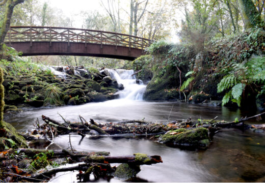 Antonio Fernández Martínez volve obter o primeiro premio do Concurso Fotográfico “A Laracha no Obxectivo”