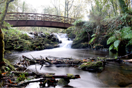 Antonio Fernández Martínez volve obter o primeiro premio do Concurso Fotográfico “A Laracha no Obxectivo”