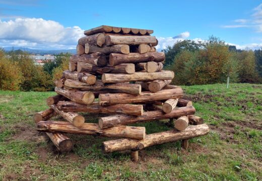 O Concello pon en marcha a creación dun bosque atlántico no polígono industrial
